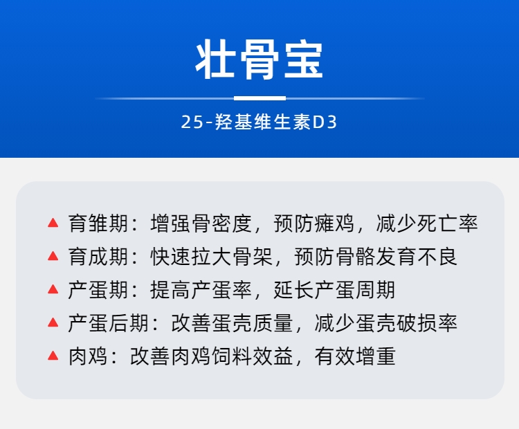 壮骨宝3