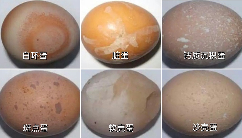 拼图有标