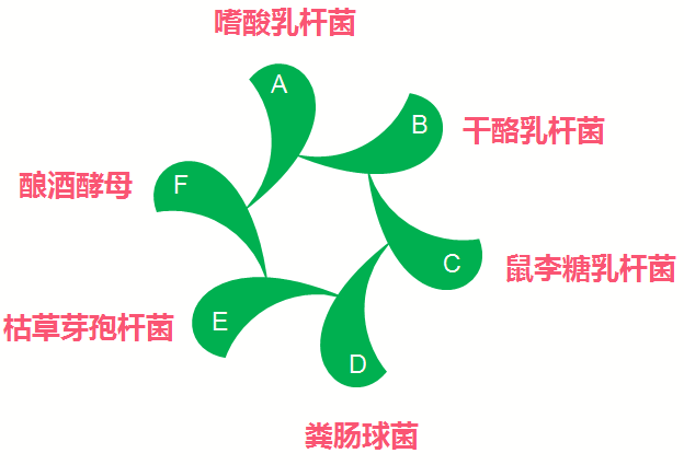 酵益成分