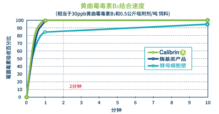 B1结合速度