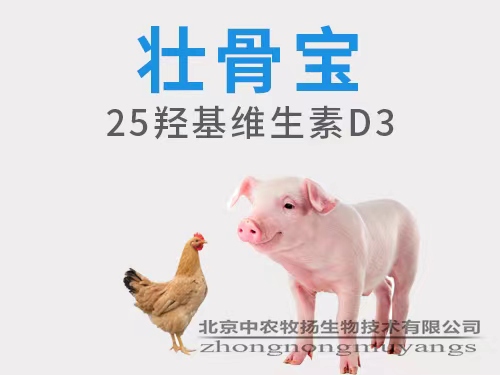 壮骨宝 25-羟基维生素D3